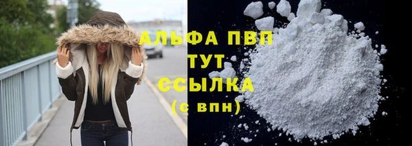 прущие грибы Белоозёрский