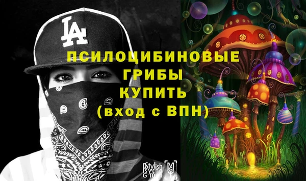 тгк Беломорск
