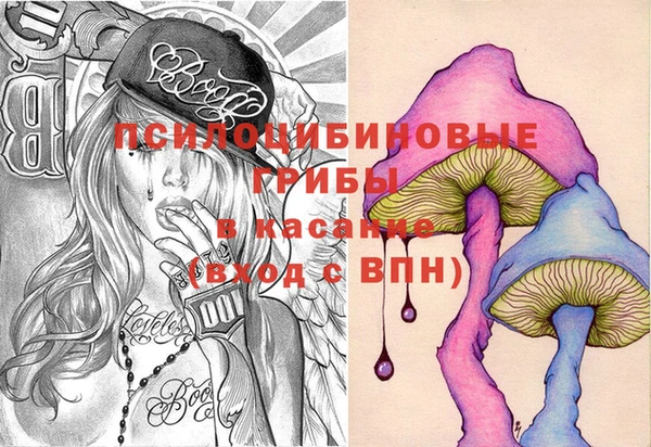 тгк Беломорск