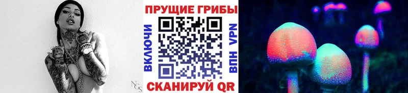 где продают   Чёрмоз  Галлюциногенные грибы Psilocybe 